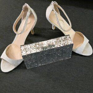 Shimmering Transparent Acrylic Purse (purse only)